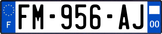 FM-956-AJ