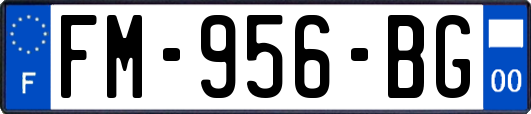 FM-956-BG