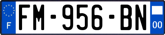 FM-956-BN