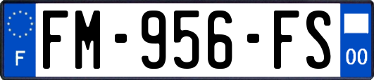 FM-956-FS