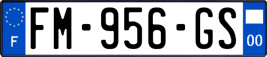 FM-956-GS