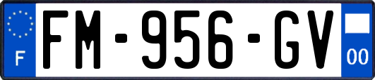 FM-956-GV