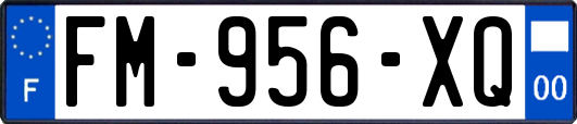 FM-956-XQ