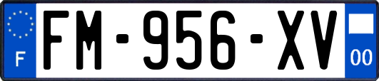 FM-956-XV