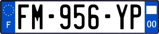 FM-956-YP