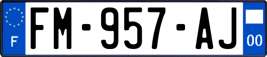 FM-957-AJ