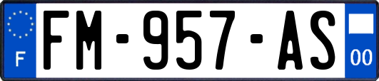 FM-957-AS