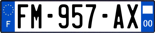FM-957-AX