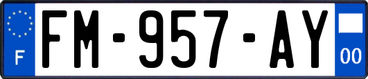 FM-957-AY