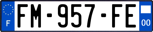 FM-957-FE
