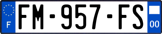 FM-957-FS