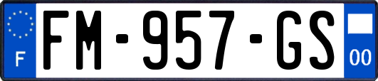 FM-957-GS