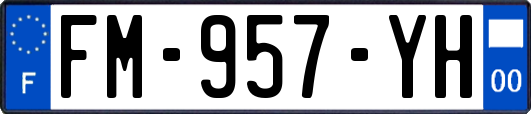FM-957-YH