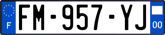 FM-957-YJ