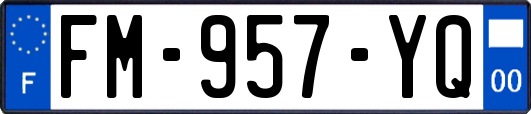 FM-957-YQ