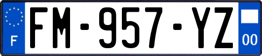FM-957-YZ