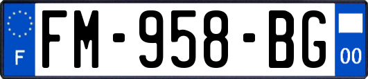 FM-958-BG