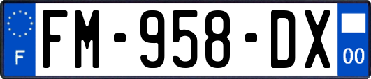 FM-958-DX