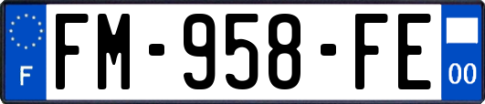 FM-958-FE