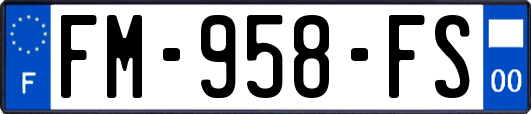 FM-958-FS