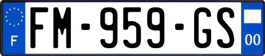 FM-959-GS