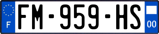 FM-959-HS