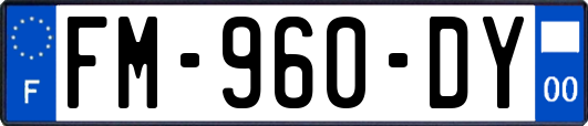 FM-960-DY