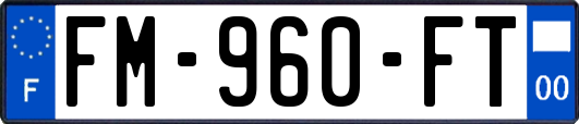 FM-960-FT
