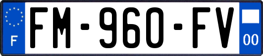 FM-960-FV