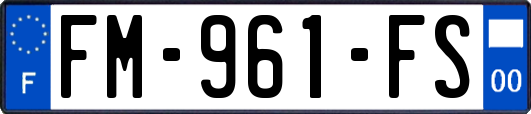 FM-961-FS