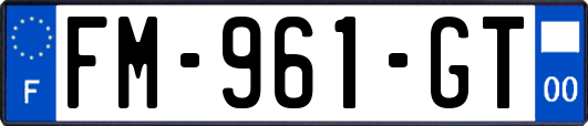 FM-961-GT