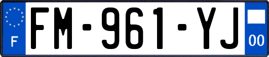 FM-961-YJ