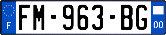 FM-963-BG