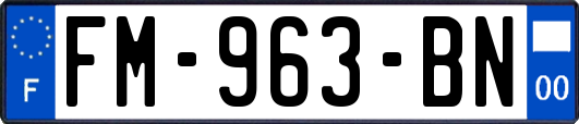 FM-963-BN