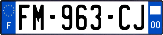 FM-963-CJ