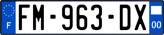 FM-963-DX
