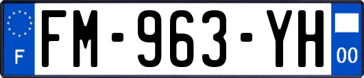 FM-963-YH