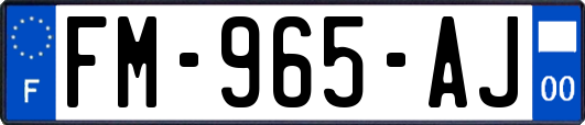 FM-965-AJ
