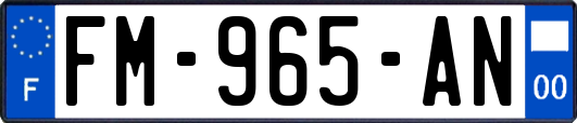 FM-965-AN