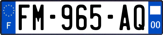 FM-965-AQ