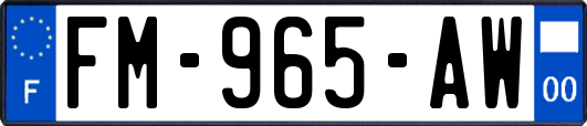 FM-965-AW