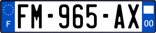 FM-965-AX