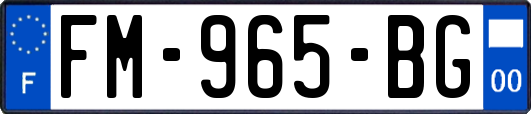 FM-965-BG