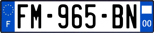 FM-965-BN
