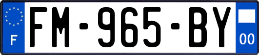 FM-965-BY