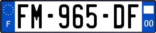 FM-965-DF