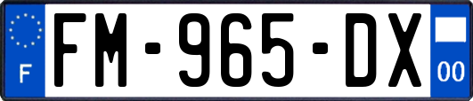 FM-965-DX