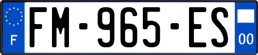 FM-965-ES
