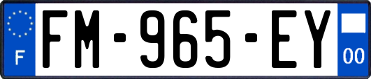 FM-965-EY