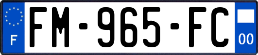 FM-965-FC